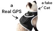 Pet Tracker Waterproof Tracking Device + High Accuracy Dog GPS App Tracker Size:M