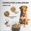 FURRY WONDER Freeze Dried Dog Food, Turkey & Chicken, 16 oz, Grain-Free, High Protein, Complete Meal or Topper, Immune Boost, USA Made